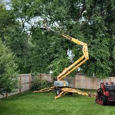 Best Storm Damage Tree Cleanup  in North Amityville, NY